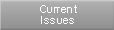 Current Issues
