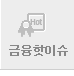 금융핫이슈